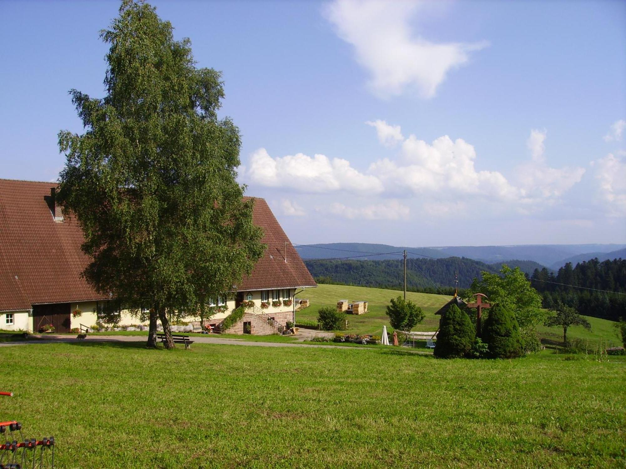 Aeckerhof Vila Wolfach Exterior foto
